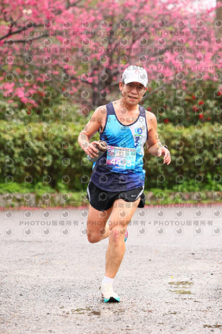 2026左岸竹東櫻花馬拉松Zhudong Sakura Marathon