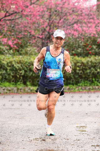 2026左岸竹東櫻花馬拉松Zhudong Sakura Marathon