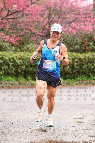 2026左岸竹東櫻花馬拉松Zhudong Sakura Marathon