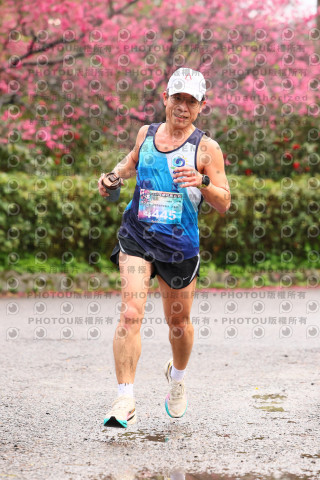 2026左岸竹東櫻花馬拉松Zhudong Sakura Marathon