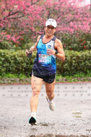 2026左岸竹東櫻花馬拉松Zhudong Sakura Marathon