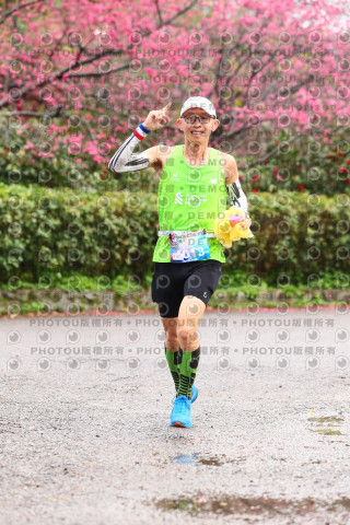 2026左岸竹東櫻花馬拉松Zhudong Sakura Marathon