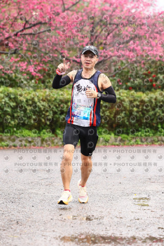 2026左岸竹東櫻花馬拉松Zhudong Sakura Marathon