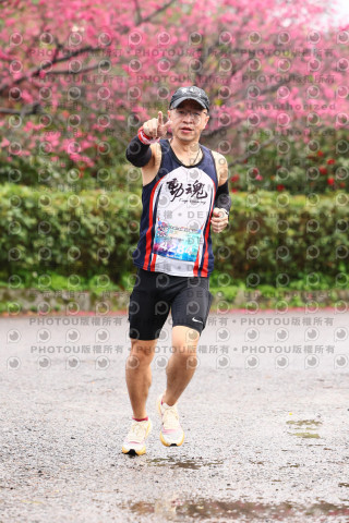 2026左岸竹東櫻花馬拉松Zhudong Sakura Marathon