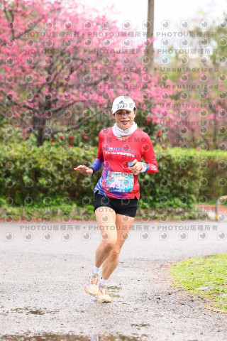 2026左岸竹東櫻花馬拉松Zhudong Sakura Marathon