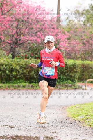 2026左岸竹東櫻花馬拉松Zhudong Sakura Marathon
