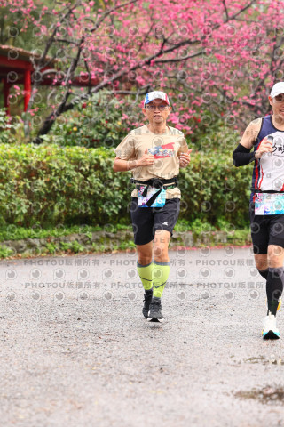2026左岸竹東櫻花馬拉松Zhudong Sakura Marathon