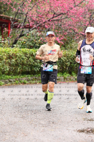 2026左岸竹東櫻花馬拉松Zhudong Sakura Marathon