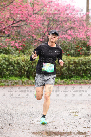 2026左岸竹東櫻花馬拉松Zhudong Sakura Marathon