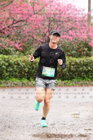2026左岸竹東櫻花馬拉松Zhudong Sakura Marathon