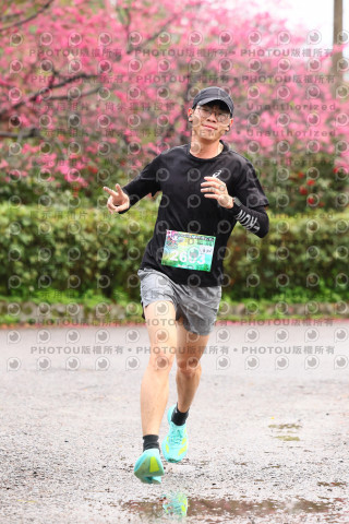 2026左岸竹東櫻花馬拉松Zhudong Sakura Marathon