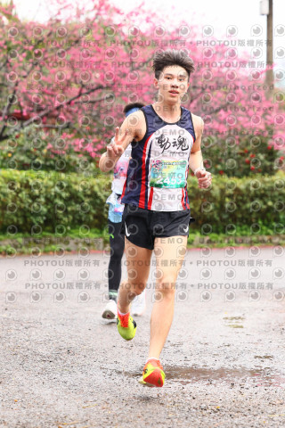 2026左岸竹東櫻花馬拉松Zhudong Sakura Marathon