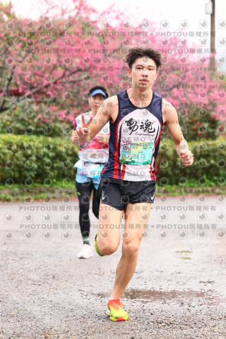 2026左岸竹東櫻花馬拉松Zhudong Sakura Marathon