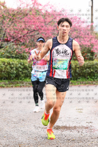 2026左岸竹東櫻花馬拉松Zhudong Sakura Marathon