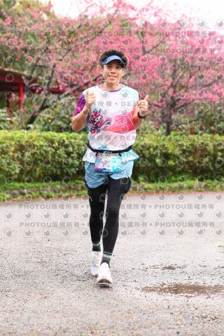2026左岸竹東櫻花馬拉松Zhudong Sakura Marathon