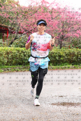 2026左岸竹東櫻花馬拉松Zhudong Sakura Marathon