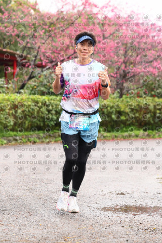2026左岸竹東櫻花馬拉松Zhudong Sakura Marathon