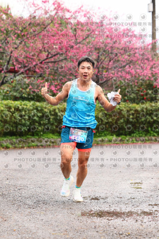 2026左岸竹東櫻花馬拉松Zhudong Sakura Marathon