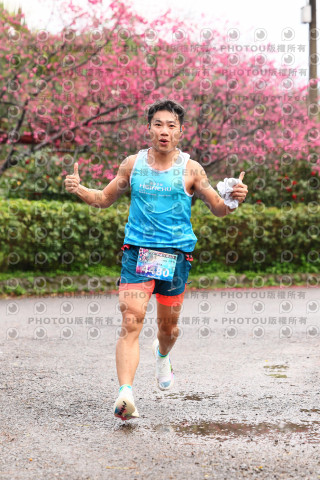 2026左岸竹東櫻花馬拉松Zhudong Sakura Marathon