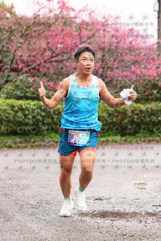2026左岸竹東櫻花馬拉松Zhudong Sakura Marathon