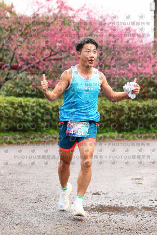 2026左岸竹東櫻花馬拉松Zhudong Sakura Marathon