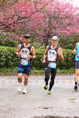 2026左岸竹東櫻花馬拉松Zhudong Sakura Marathon