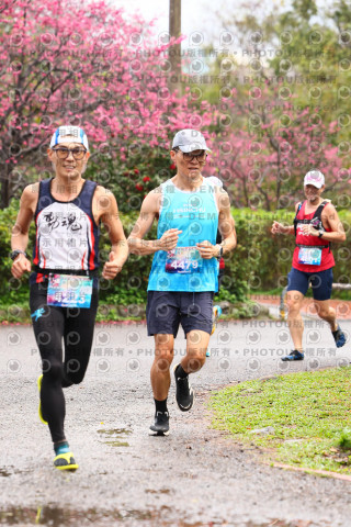 2026左岸竹東櫻花馬拉松Zhudong Sakura Marathon