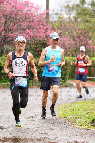 2026左岸竹東櫻花馬拉松Zhudong Sakura Marathon