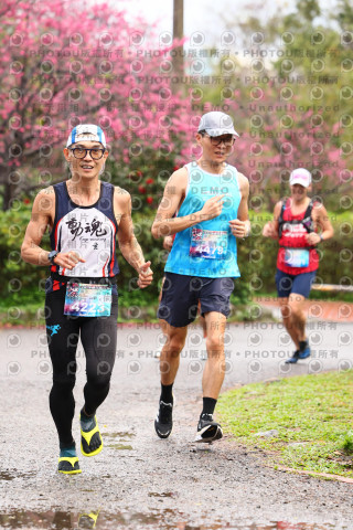 2026左岸竹東櫻花馬拉松Zhudong Sakura Marathon