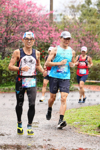 2026左岸竹東櫻花馬拉松Zhudong Sakura Marathon