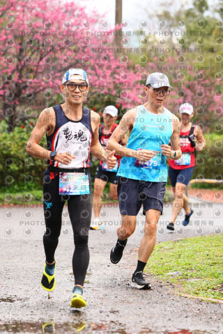 2026左岸竹東櫻花馬拉松Zhudong Sakura Marathon