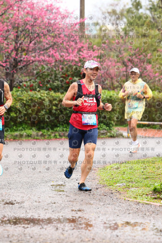 2026左岸竹東櫻花馬拉松Zhudong Sakura Marathon