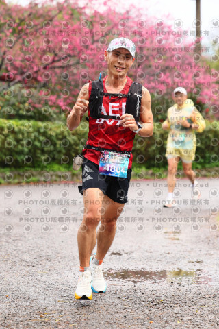2026左岸竹東櫻花馬拉松Zhudong Sakura Marathon