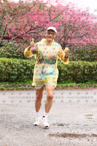 2026左岸竹東櫻花馬拉松Zhudong Sakura Marathon