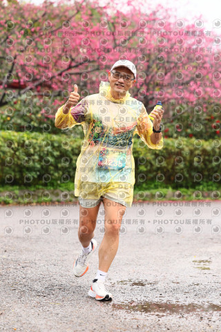2026左岸竹東櫻花馬拉松Zhudong Sakura Marathon