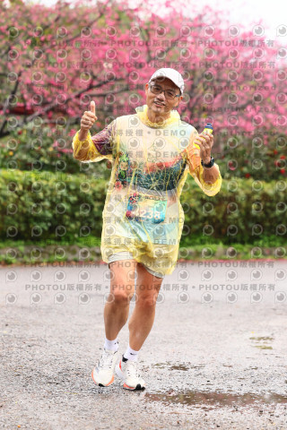 2026左岸竹東櫻花馬拉松Zhudong Sakura Marathon