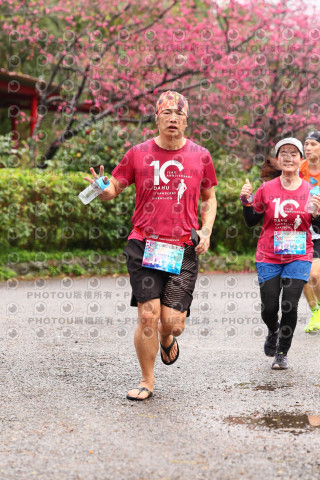2026左岸竹東櫻花馬拉松Zhudong Sakura Marathon