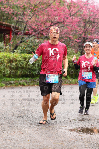2026左岸竹東櫻花馬拉松Zhudong Sakura Marathon