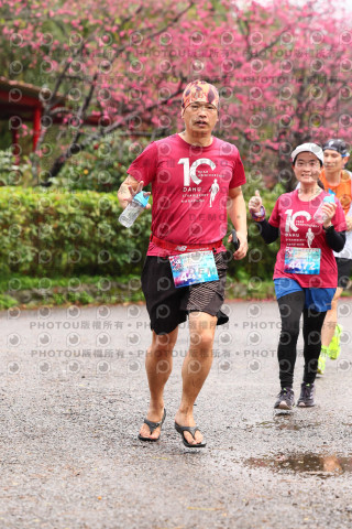 2026左岸竹東櫻花馬拉松Zhudong Sakura Marathon