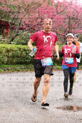 2026左岸竹東櫻花馬拉松Zhudong Sakura Marathon