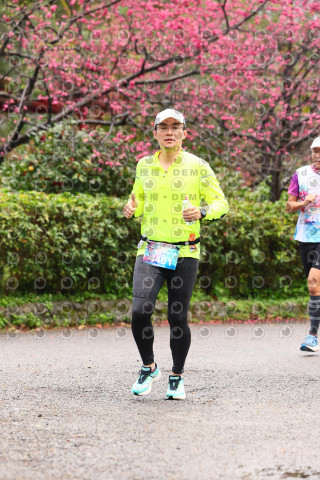 2026左岸竹東櫻花馬拉松Zhudong Sakura Marathon