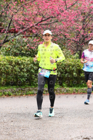 2026左岸竹東櫻花馬拉松Zhudong Sakura Marathon