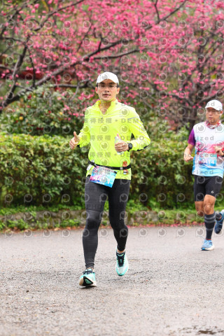 2026左岸竹東櫻花馬拉松Zhudong Sakura Marathon