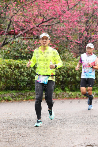 2026左岸竹東櫻花馬拉松Zhudong Sakura Marathon
