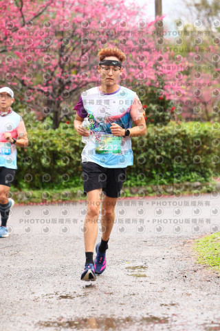 2026左岸竹東櫻花馬拉松Zhudong Sakura Marathon