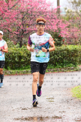 2026左岸竹東櫻花馬拉松Zhudong Sakura Marathon