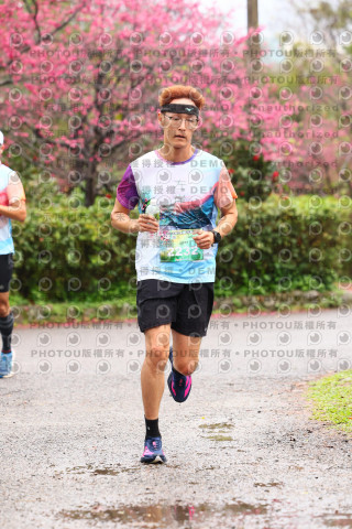 2026左岸竹東櫻花馬拉松Zhudong Sakura Marathon
