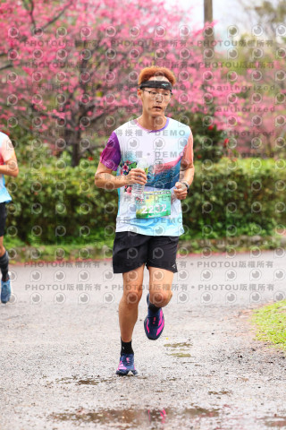 2026左岸竹東櫻花馬拉松Zhudong Sakura Marathon