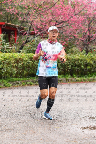2026左岸竹東櫻花馬拉松Zhudong Sakura Marathon