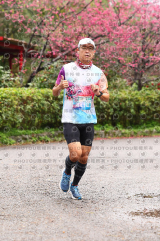 2026左岸竹東櫻花馬拉松Zhudong Sakura Marathon